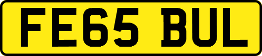 FE65BUL