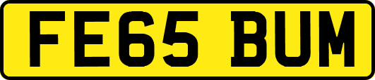 FE65BUM