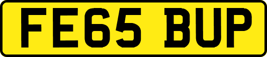 FE65BUP