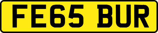 FE65BUR