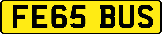 FE65BUS