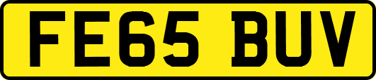 FE65BUV