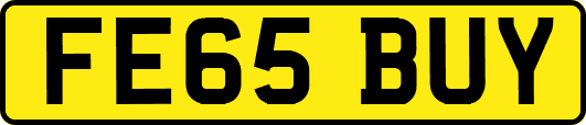 FE65BUY