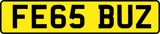 FE65BUZ