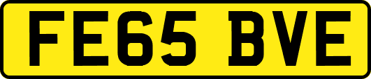 FE65BVE