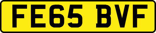 FE65BVF