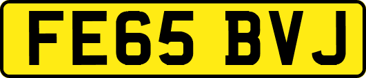 FE65BVJ