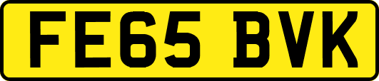 FE65BVK