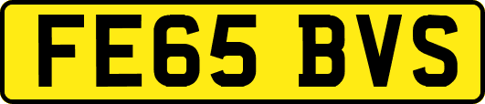 FE65BVS