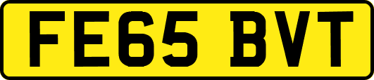 FE65BVT