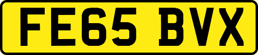 FE65BVX