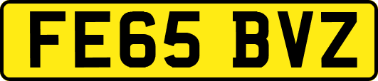 FE65BVZ