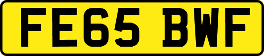 FE65BWF