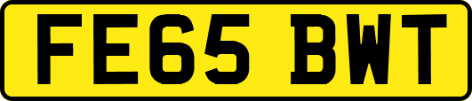 FE65BWT