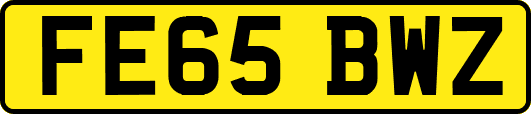 FE65BWZ