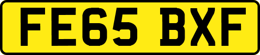 FE65BXF