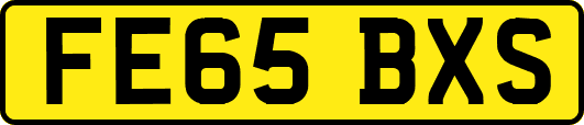 FE65BXS
