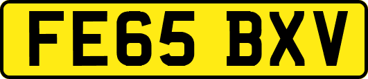 FE65BXV