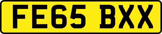 FE65BXX