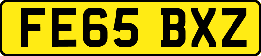 FE65BXZ