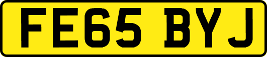 FE65BYJ