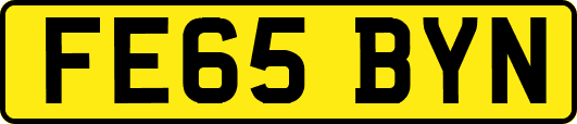 FE65BYN