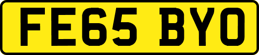 FE65BYO