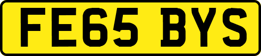 FE65BYS