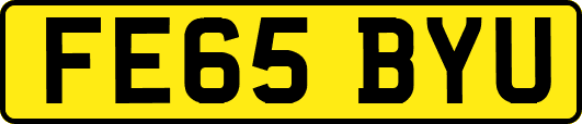 FE65BYU