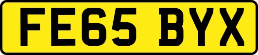 FE65BYX