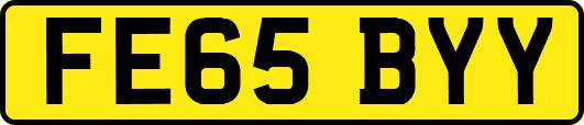 FE65BYY