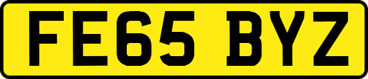 FE65BYZ