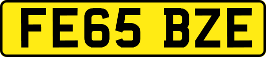 FE65BZE