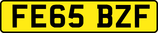 FE65BZF