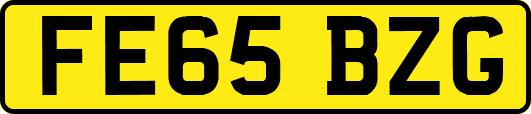 FE65BZG