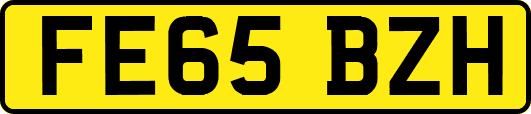 FE65BZH