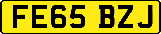FE65BZJ