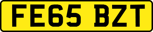 FE65BZT