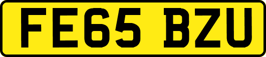 FE65BZU