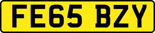 FE65BZY