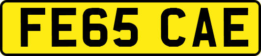 FE65CAE