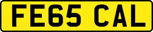 FE65CAL
