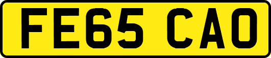 FE65CAO
