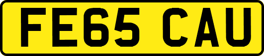 FE65CAU