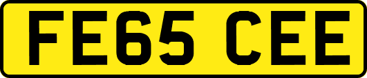 FE65CEE