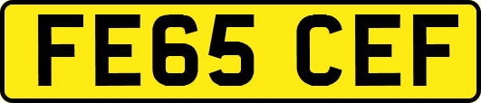 FE65CEF