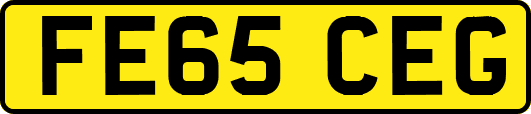 FE65CEG