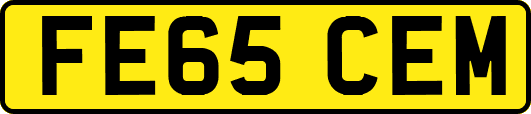 FE65CEM