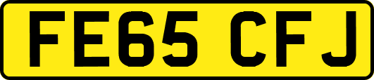 FE65CFJ
