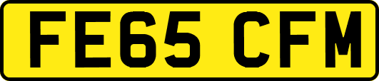 FE65CFM